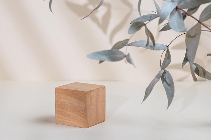 Ramas secas y un cubo de madera.